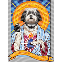 Animal Integration-DW 1019